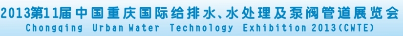 2013第十一屆重慶國際給排水、水處理設(shè)備及泵閥管道展覽會